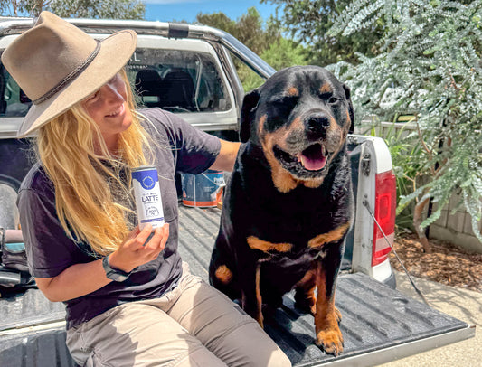 dont-dairy-don't-dairy-iced-coffee-dairy-free-for-tradies